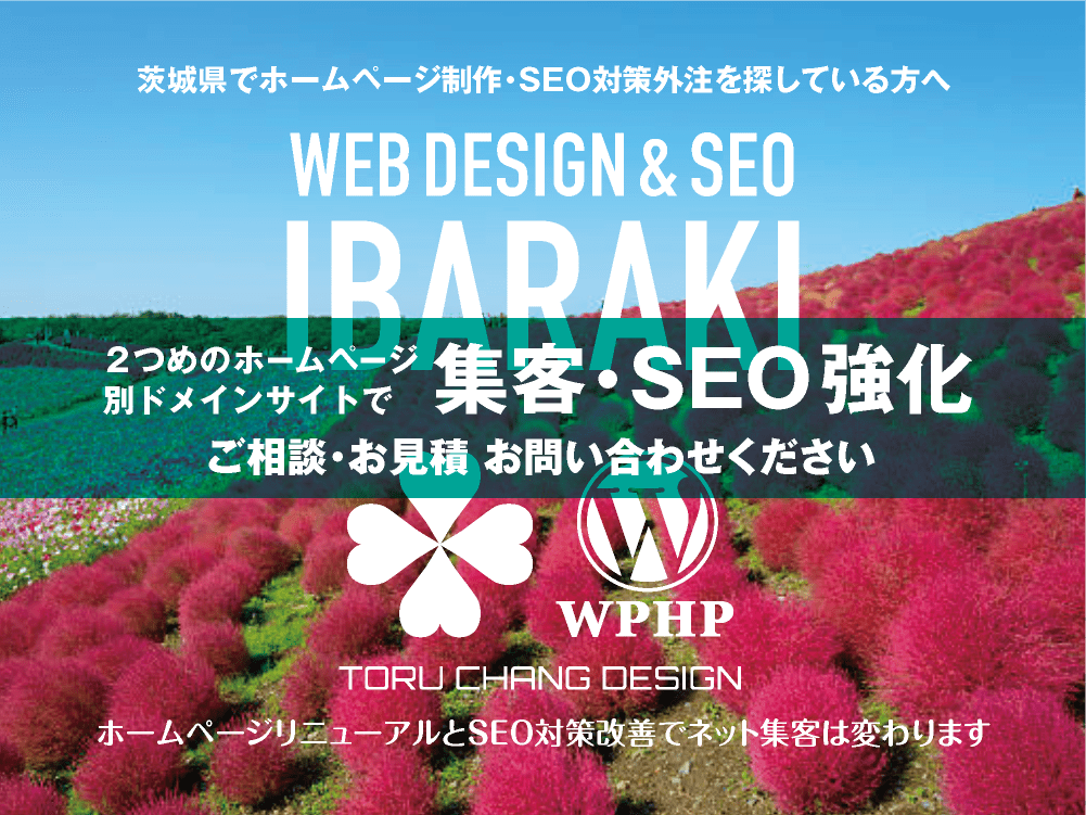 茨城県でネット集客・SEO対策強化｜2ND SITE PLAN｜2つめのホームページ制作プラン｜サテライトサイトでSEO改善｜toruchang-seo.com