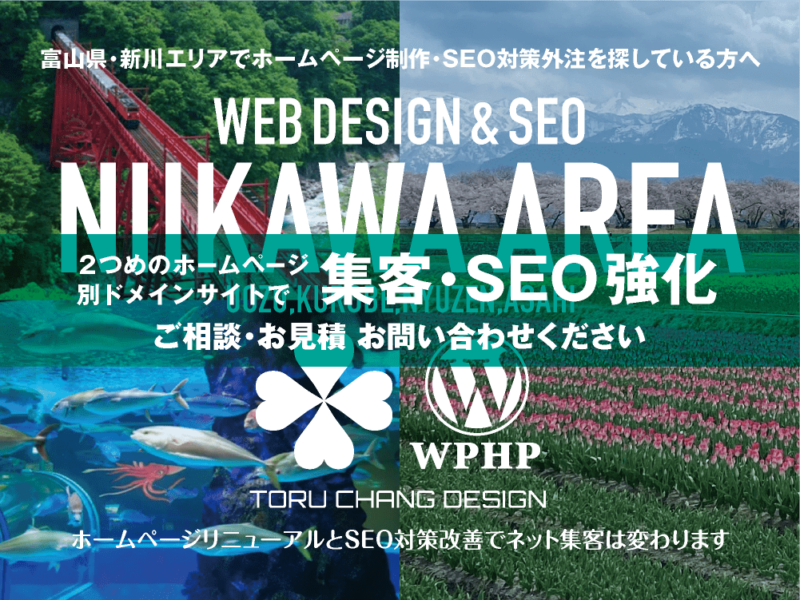 富山県東部・新川エリア｜2ND SITE PLAN｜2つめのホームページ制作プランのご紹介｜サテライトサイトでSEO改善・SEO強化｜toruchang-seo.com