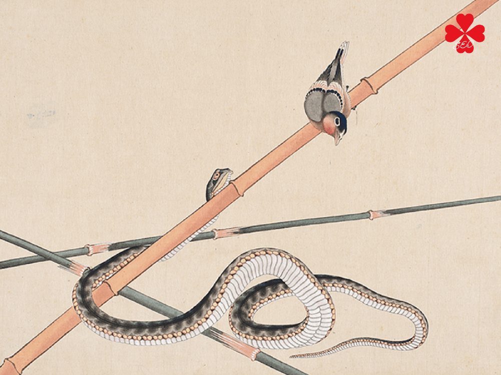 葛飾北斎・HOKUSAI・snake｜肉筆画帖（蛇と小鳥）【TORU CHANG DESIGN】ホームページのSEO・富山県から全国対応｜SEO診断・SEO改善｜toruchang-seo.com