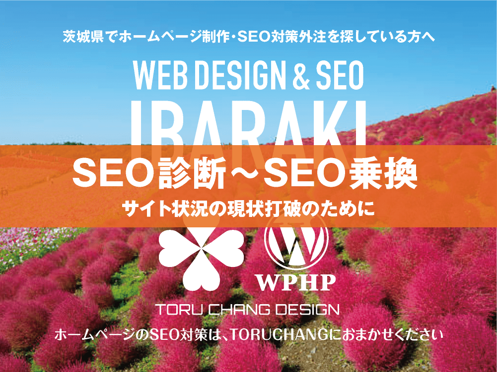 茨城県｜SEO診断〜SEO乗換｜ホームページのSEO対策はTORUCHANGにおまかせください｜toruchang-seo.com